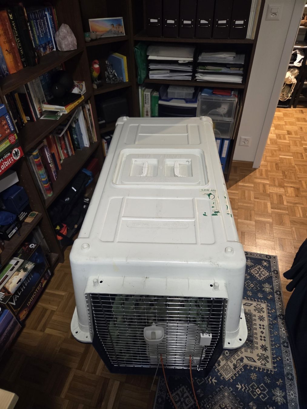 Käfige, Transport & Sicherheit: Airline Pet Transport Box – Gebraucht aus Zürich von mel_ly8t 2