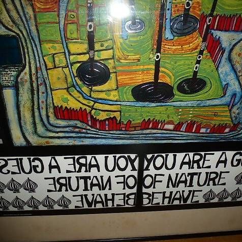 Foto & Immagini: Hundertwasser – Usato da Henggart venduto da Purzel7798 3