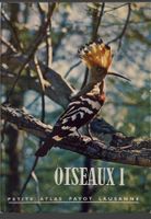 Rare livre Oiseaux I Payot Lausanne 1948 - collection pri...