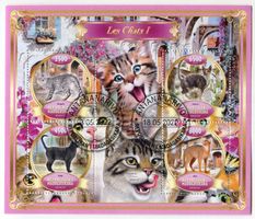 Block "Katzen". Madagaskar.