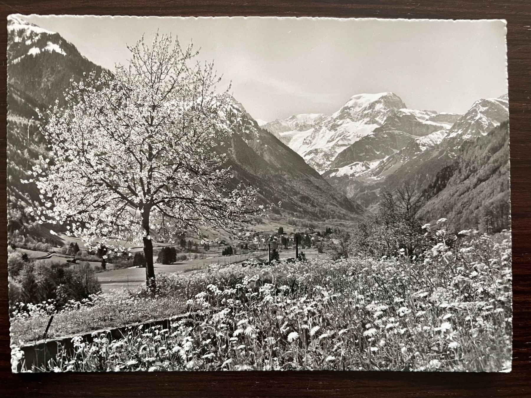 Cartoline postali: ALPINISMUS GLARNERLAND Tödi, Bergsteiger, 5 Ansichtskarten – Usato da Wald ZH venduto da TLILEF 5