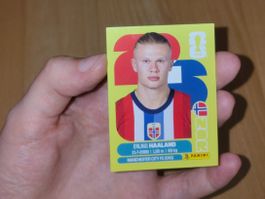 🔥Panini Erling Haaland (Norway) - NOR15