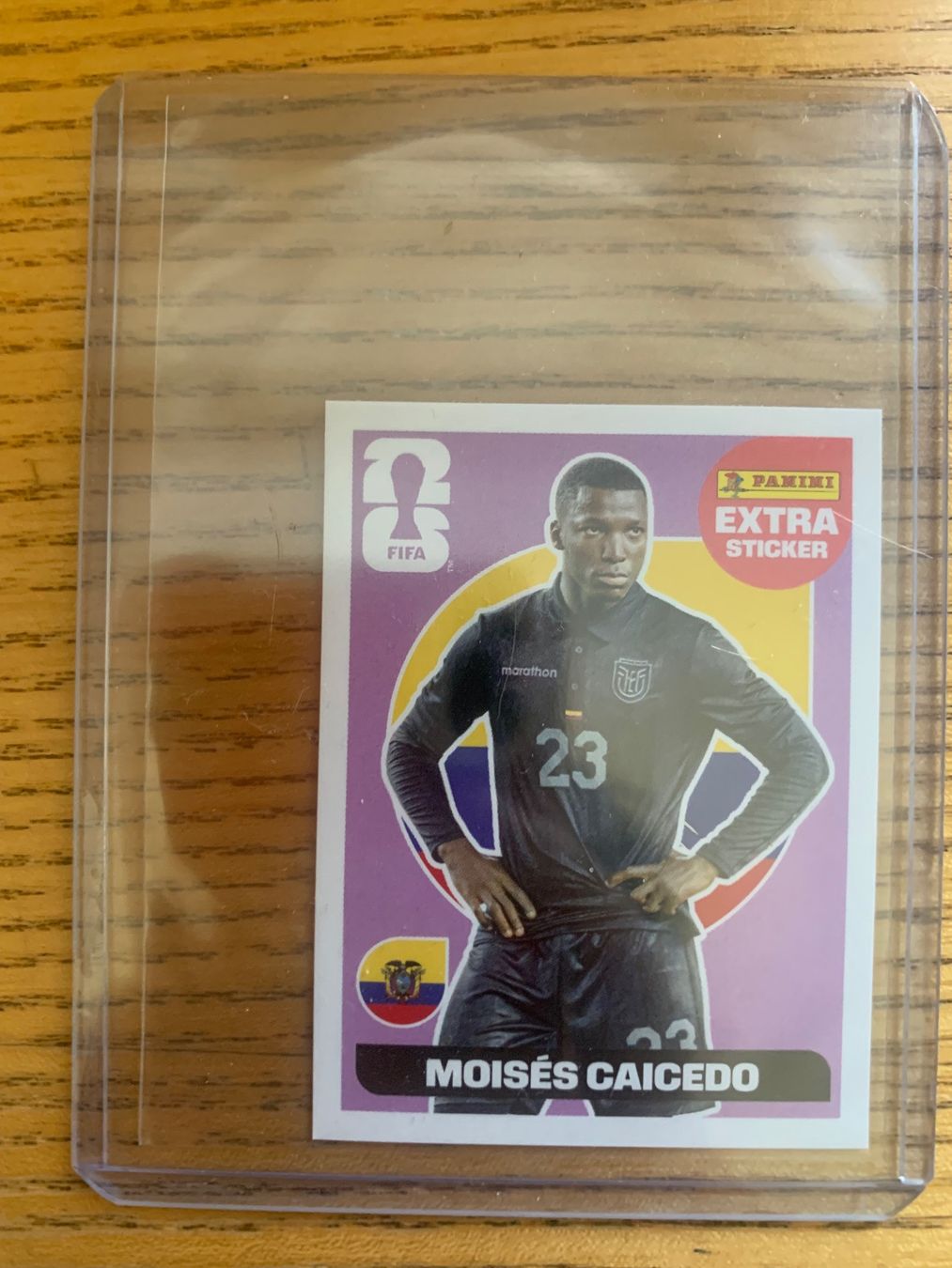 Panini Cartes à collectionner: Panini  Extra Sticker Moisés Caicedo Pink – D'occasion à Zürich par Kasza