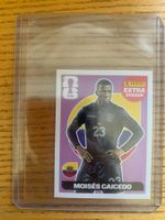 Panini  Extra Sticker Moisés Caicedo Pink