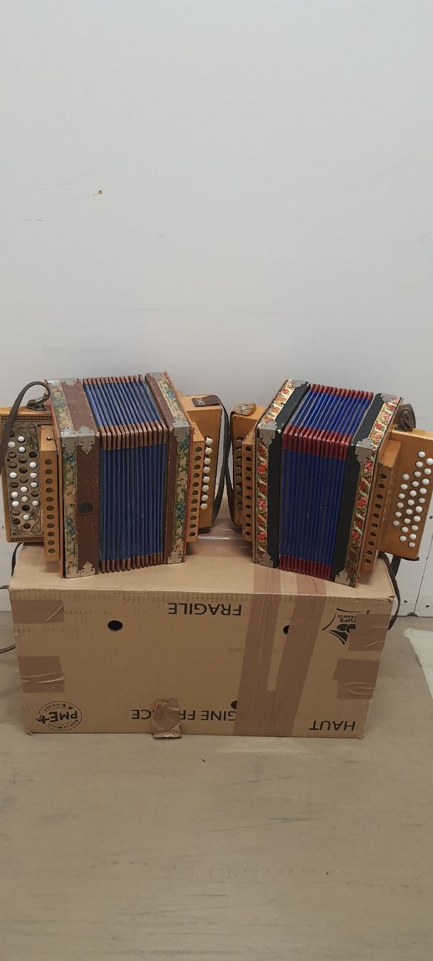 Strumenti musicali: 2 schwyzerorgeli à restaurer  – Usato da Pont-de-la-Morge venduto da Mirabelle0 8