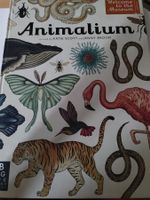 Children's Book: Animalium
