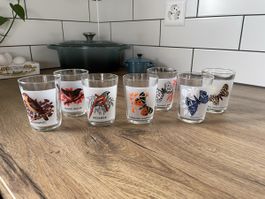 Lot de 7 verres anciens - Motifs Oiseaux et Papillons