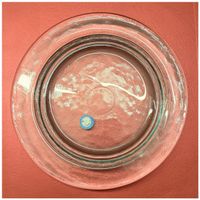 Runder Ecoglass-Glasteller aus 100 % recyceltem Glas