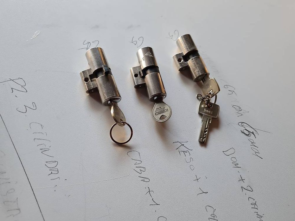 JDNFKG 20 Serrature Badge In Acciaio Inox Con 2 Chiavi, Blocchi Di Sicurezza Per Targhette E Cartellini, Antiruggine E Compatti