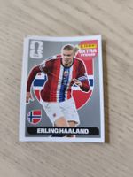 Panini Erling Haaland Extra Sticker in Silber guter Zustand 
