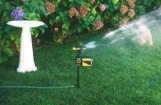 Dispositivi a energia solare: Reiher / Katzenschreck mit Solar /Wasser – Nuovo e nell'imballaggio originale da Arth venduto da 100i 1