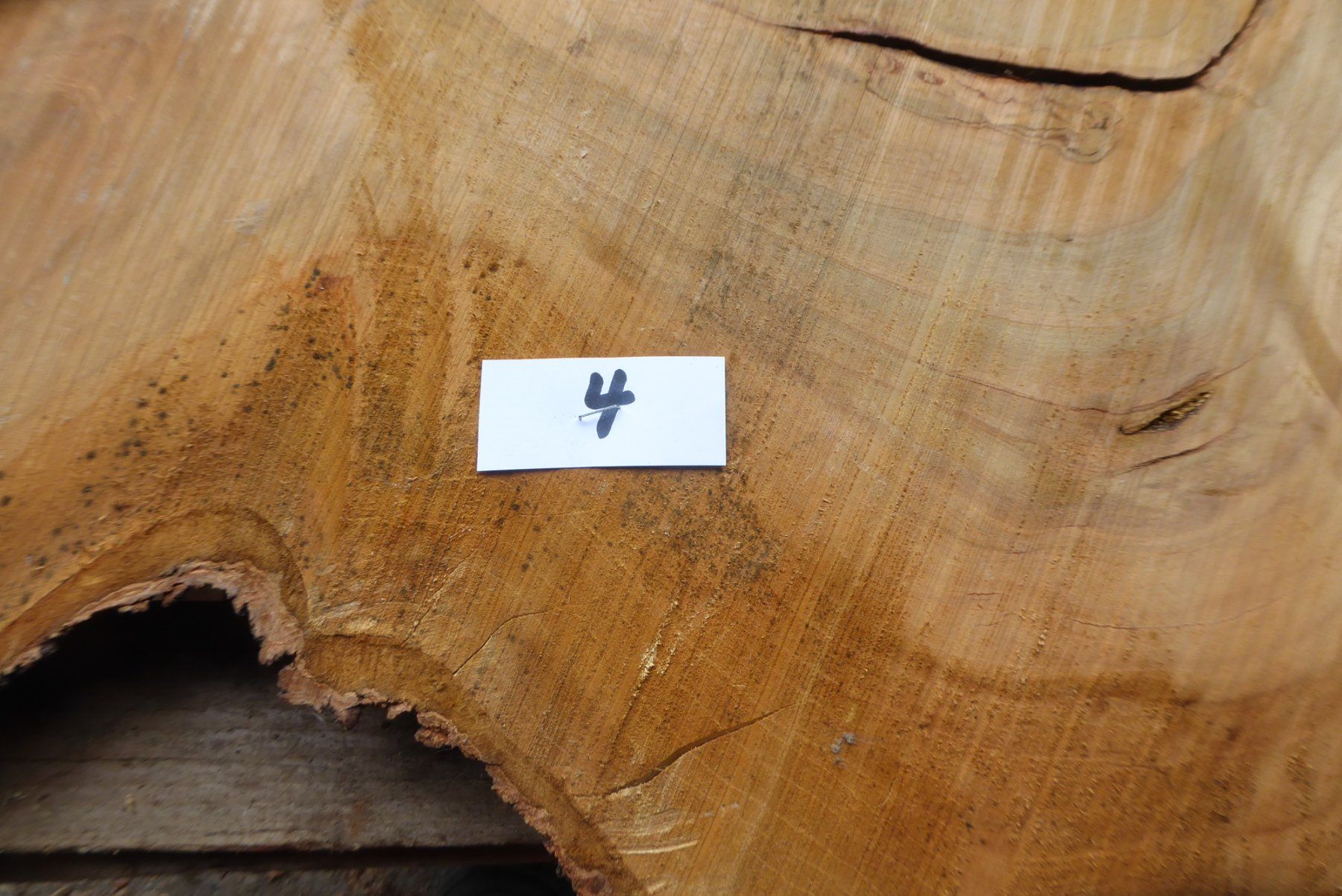 Holzartikel: Kirschbaumbrett – Neu (gemäss Beschreibung) aus Sumiswald von Hennri1 2