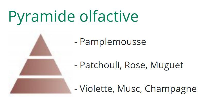 Diffuseurs: Parfum Duft prickelnder Champagner 500ml – Neuf avec emballage d'origine à Wettingen par Swala 3