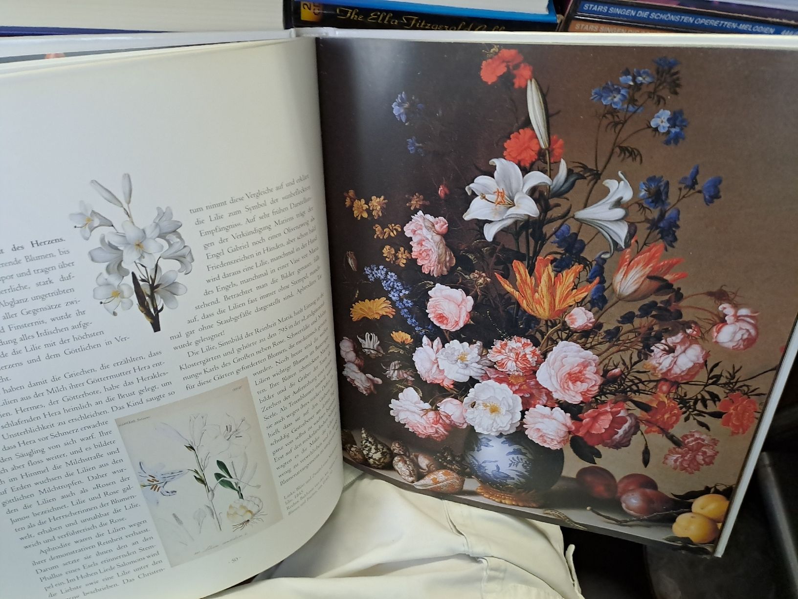 Libri: Die Sprache der Blumen - A-Z – Usato da Zürich venduto da Schoebi19 7