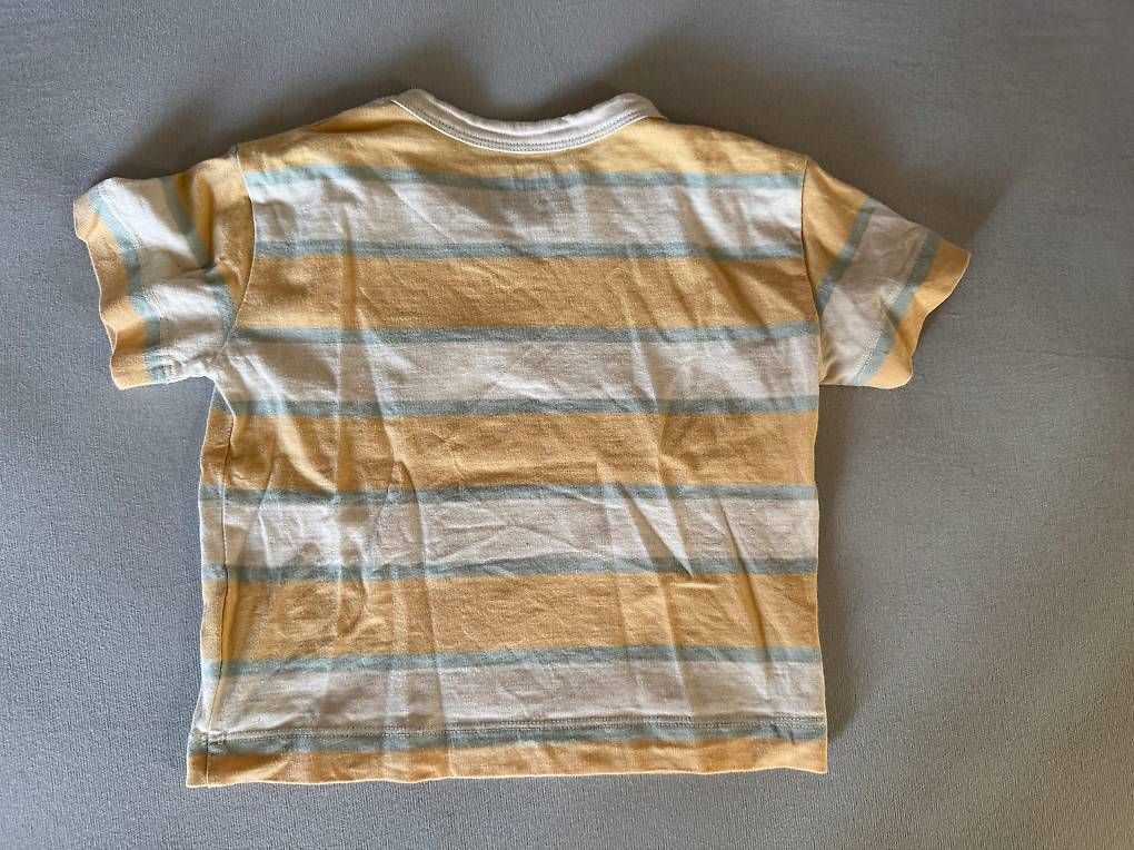 Camicie, T-shirt & Polo: T-shirt tinycottons 92 – Usato da Bern venduto da mijaly 1