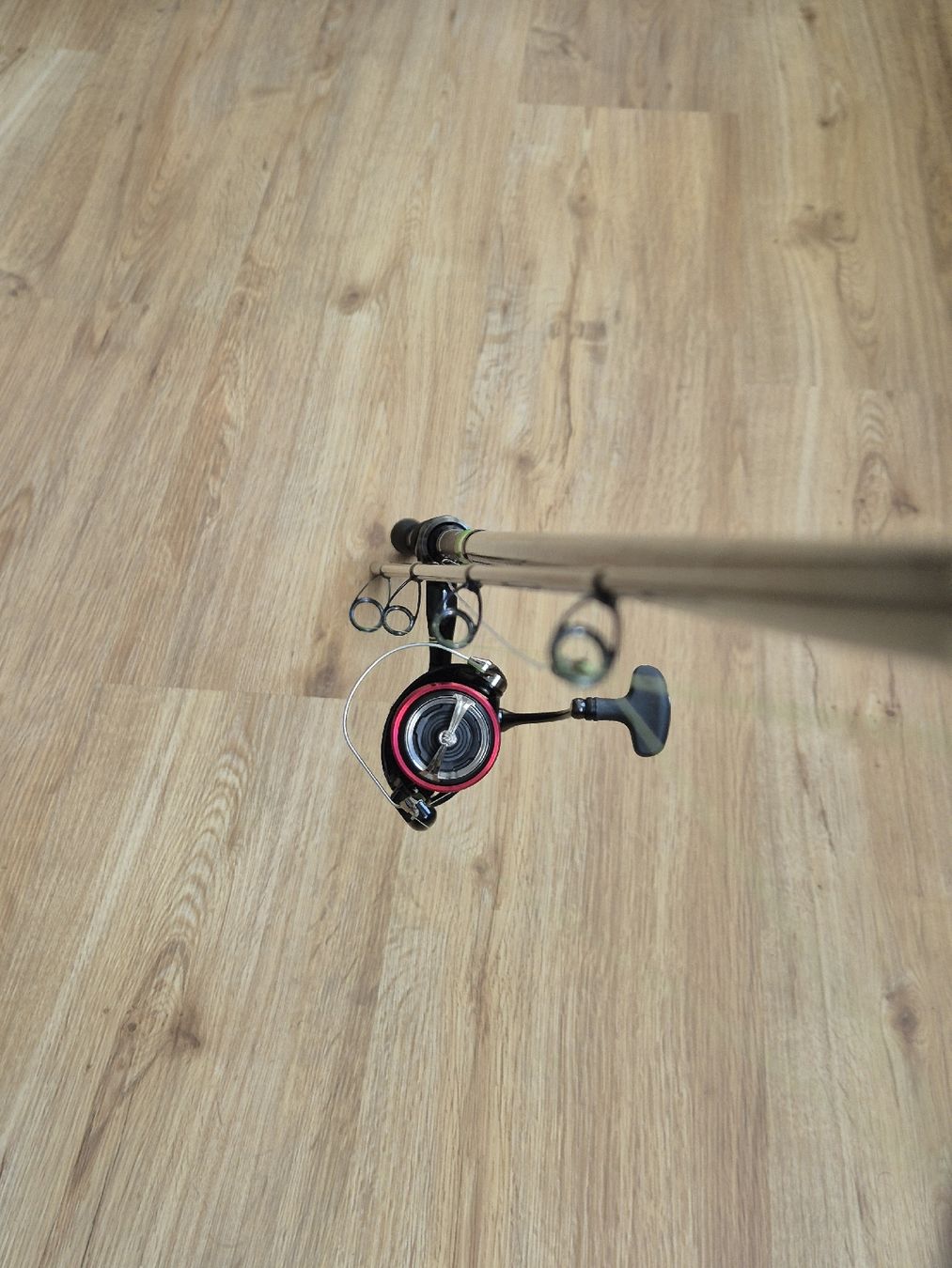Daiwa Canne da pesca: Daiwa Prorex Spin Rute – Nuovo (secondo la descrizione) da Beckenried venduto da fon_fc2l 4