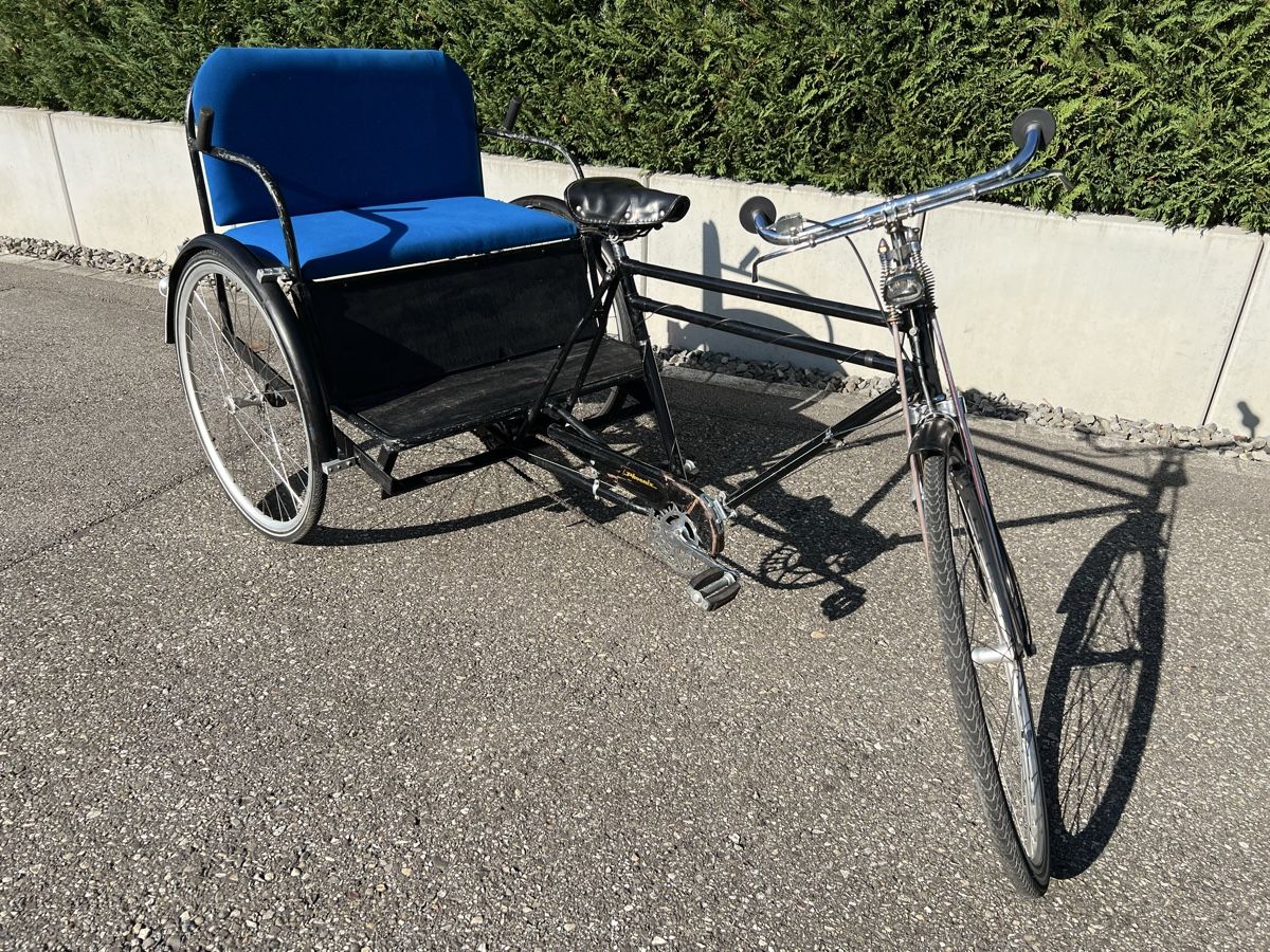 Biciclette: Rikscha Phoenix mit Verdeck zum abnehmen  – Usato da Härkingen venduto da Mada90 4