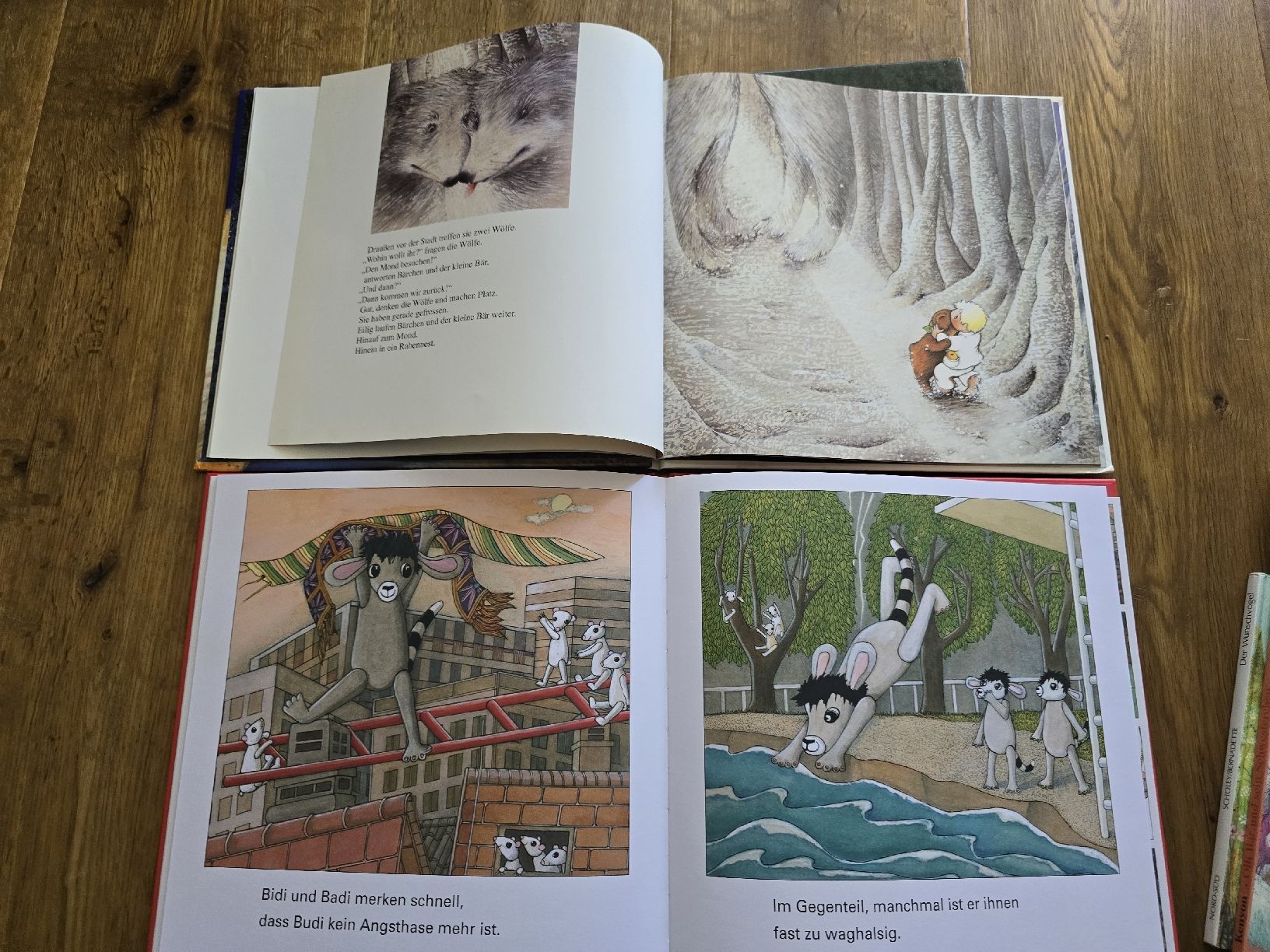 Libri: bücher für kinder – Usato da Wittenbach venduto da Tigerlili 4