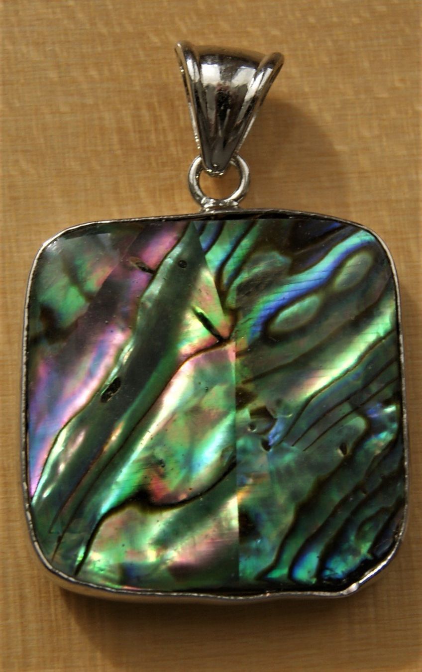 Anhänger: ABALONE-PAUA  Muschel-Anhänger – Neu (gemäss Beschreibung) aus Stadel von Wald100 3