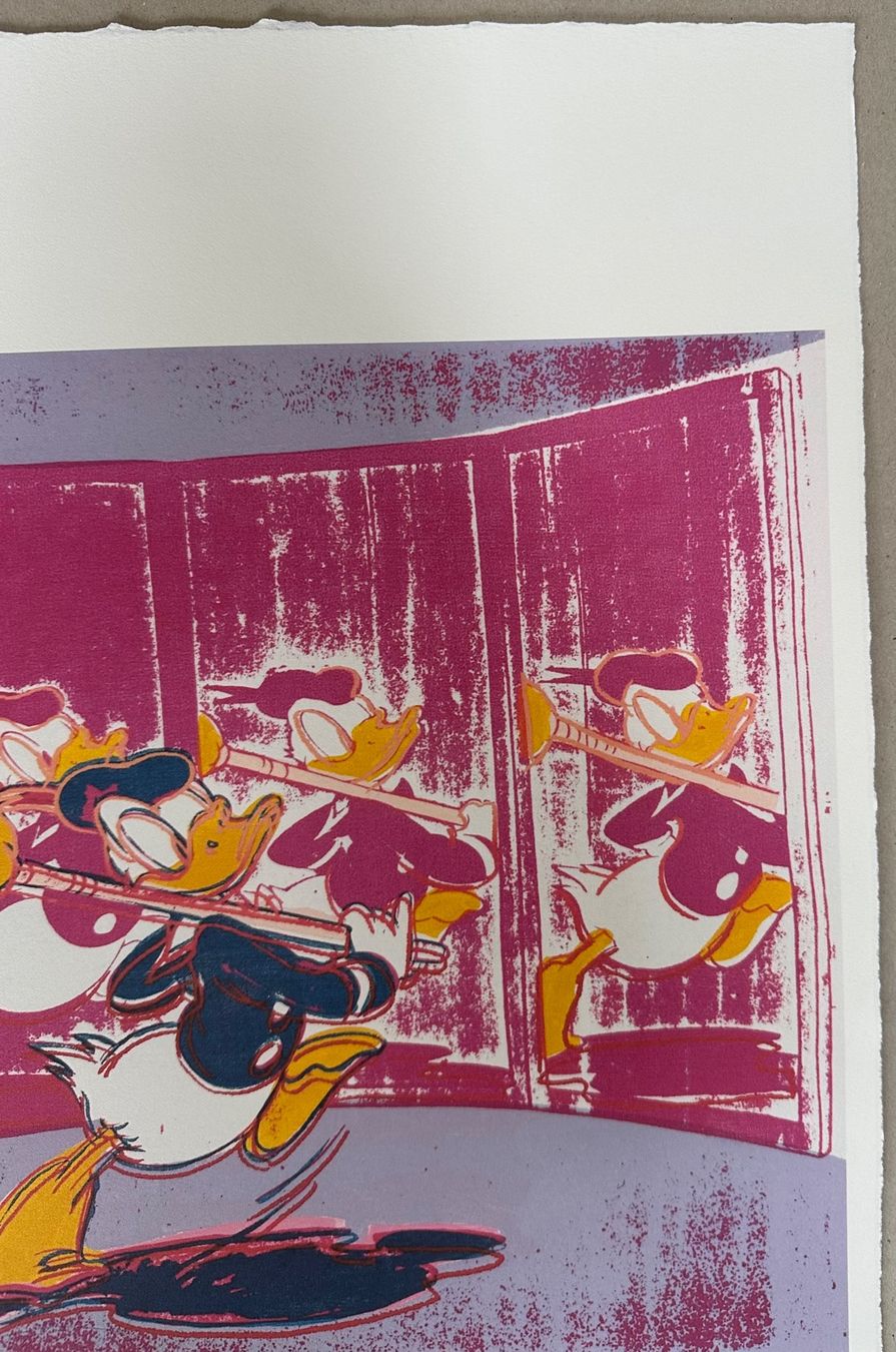 Foto & Immagini: Andy Warhol: Donald Duck, POP Art 25/100 – Nuovo (secondo la descrizione) da Meilen venduto da Smgdesign 4