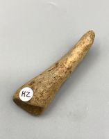 Höhlenbär - Fingerknochen - Original - Eiszeit