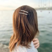 Snow (2pcs) :: Hairpin Haarklammern