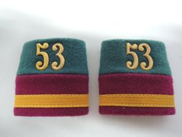 Schweizer Armee Batten
