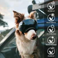 Dog Goggles Hundesonnenbrille