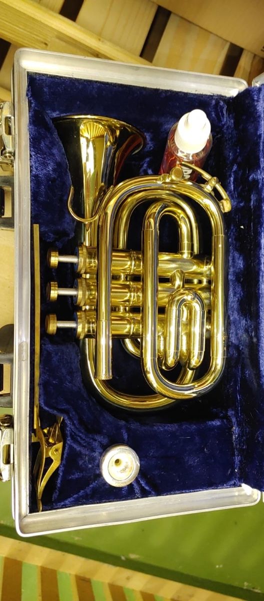 Strumenti musicali: Kornett – Usato da Ruswil venduto da Butcher55