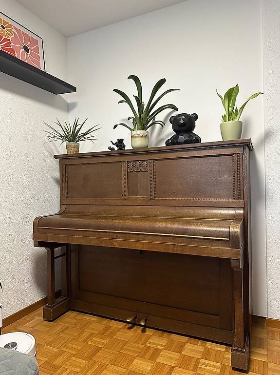 Strumenti musicali: Schmidt-Flohr Klavier  Lieferung möglich – Usato da Luzern venduto da sch_2xvv