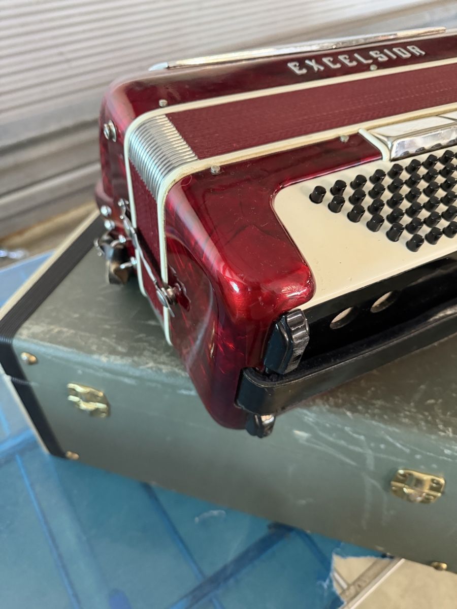 Excelsior Strumenti musicali: Excelsior 3 chòrig  – Usato da Muhen venduto da MiGeiss64 6