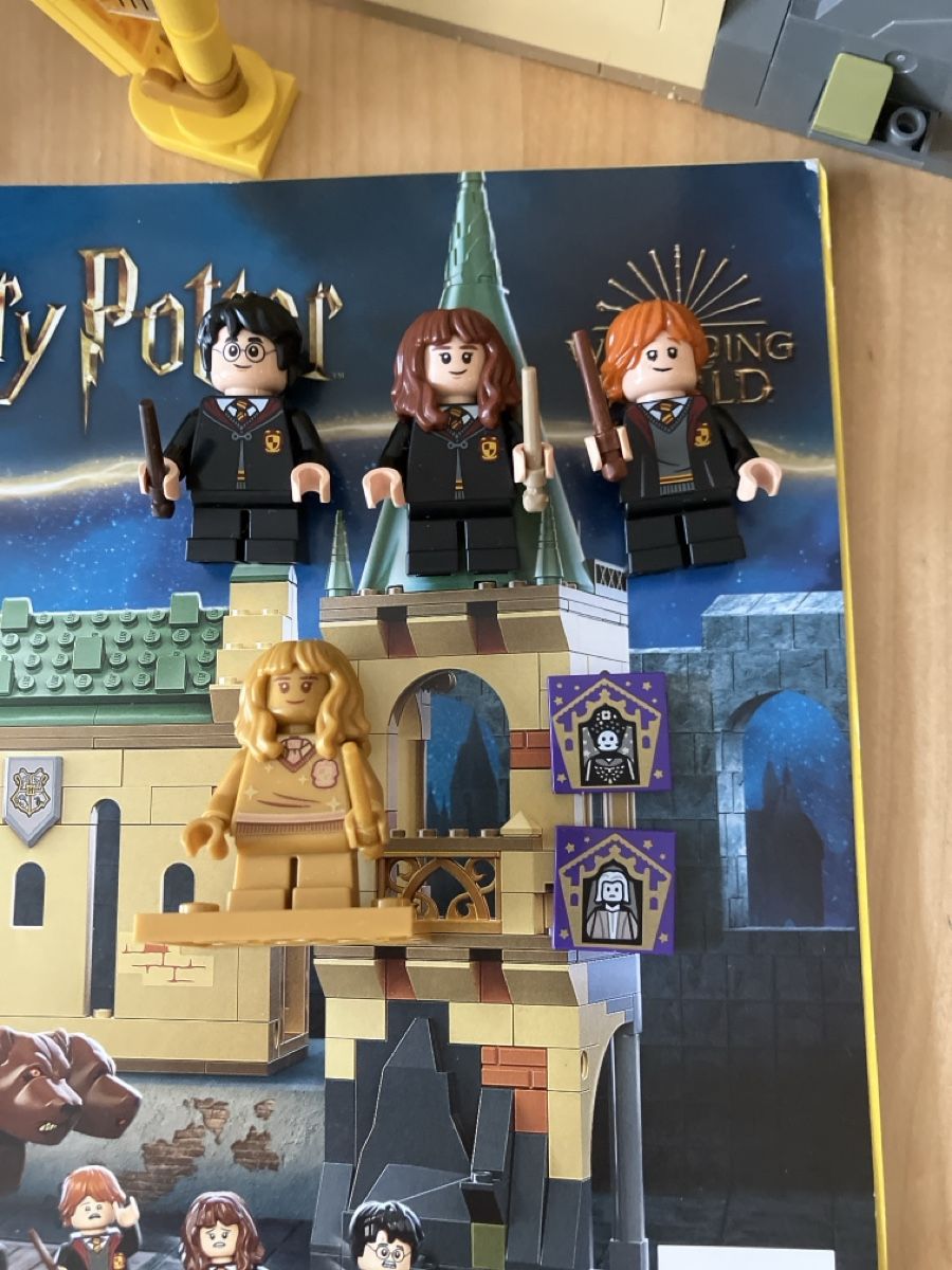Lego Kit di costruzioni: Lego 76387 Hogwarts Fluffy Entcounter – Usato da Glarus venduto da Jhuber78 1