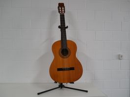 Aria A 573 (Gitarre)