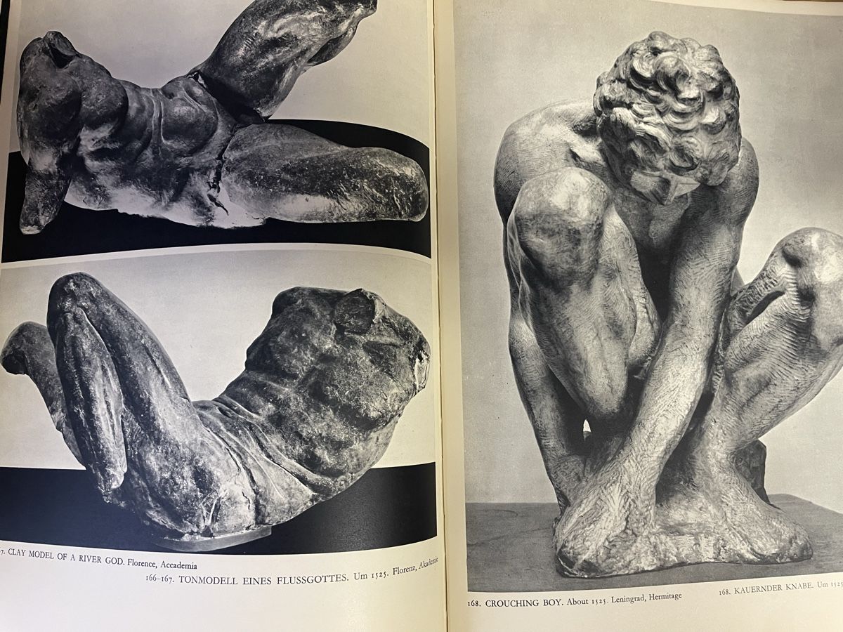 Libri: Michelangelo - Vollständige Ausgabe, Goldscheider – Usato da Wyssachen venduto da Hahe89 9