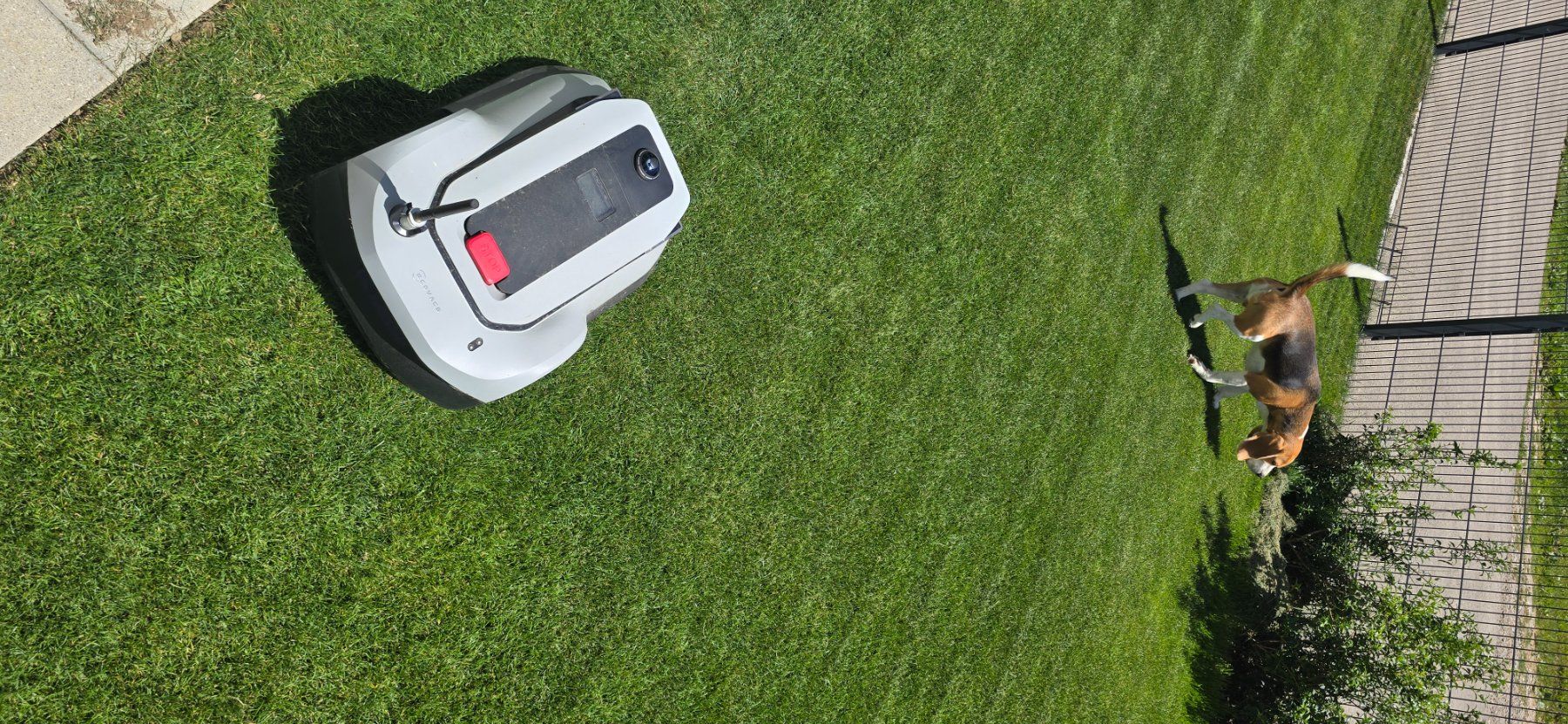 Ecovacs Rasenmäher: Ecovacs Goat G1-800 – Gebraucht aus Altishausen von martin137