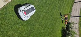 Ecovacs Goat G1-800