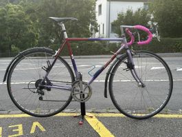 Rennrad Allegro