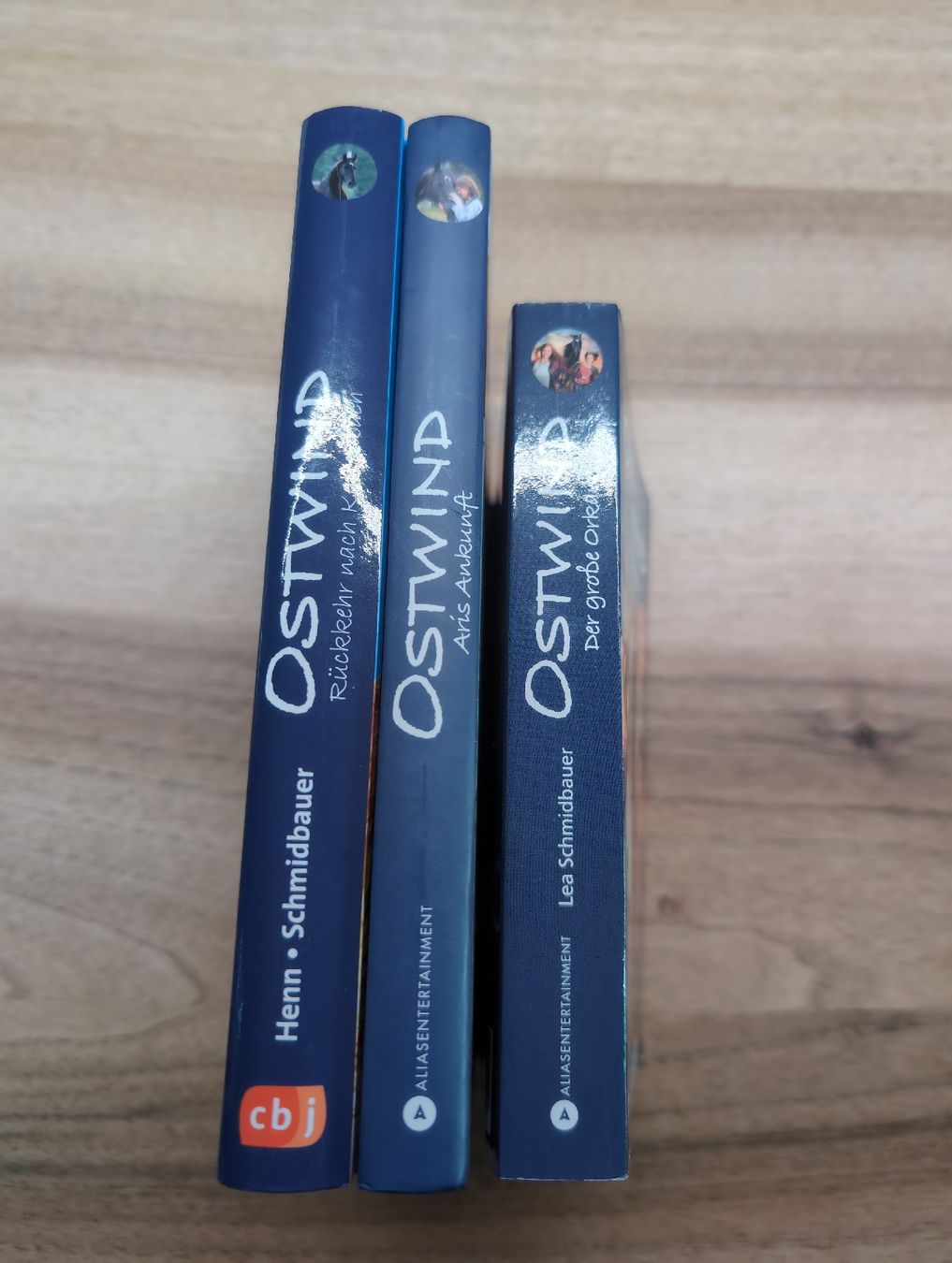 Libri: Ostwind 2, 5 & 6 – Usato da Schlosswil venduto da shaking-uhu 1