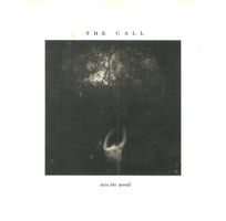 CD The Call - Into the woods (1987)