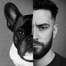 Profile image of BrunoBFMS