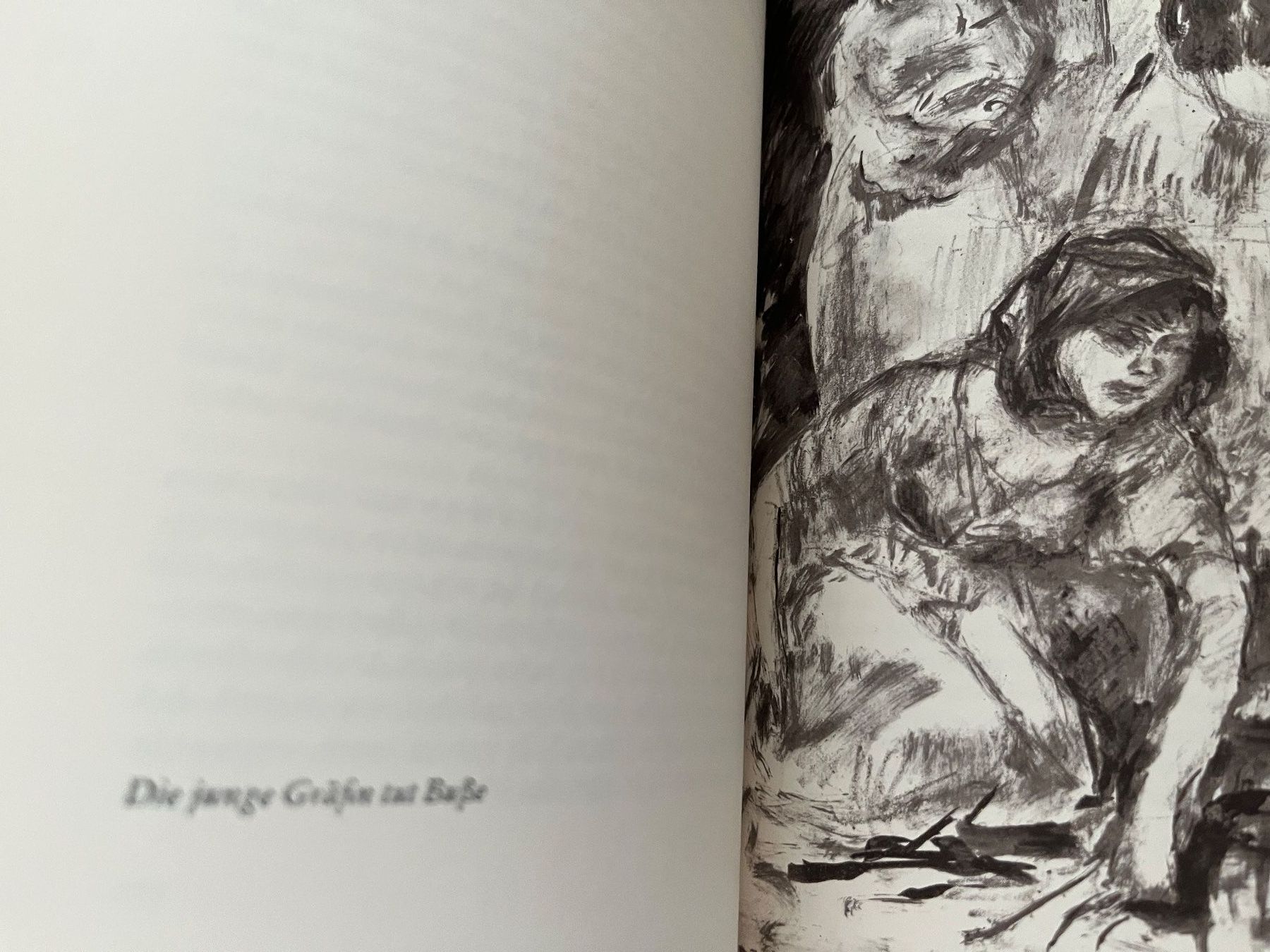 Libri: Selma Lagerlöf: Gösta Berling & Nils Holgersson – Usato da Stetten AG venduto da Brissago25 3