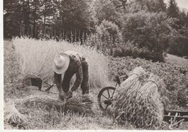 Die alten Zeiten