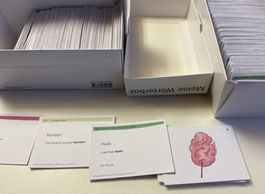 Klett Young World 2 - Wortkarten Englisch für Primarschule 5