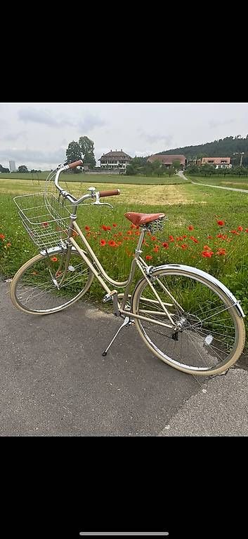 Velos: Neues Siech Comfy (8 Speed) Titanium – Gebraucht aus Muri b. Bern von Baerner549 1