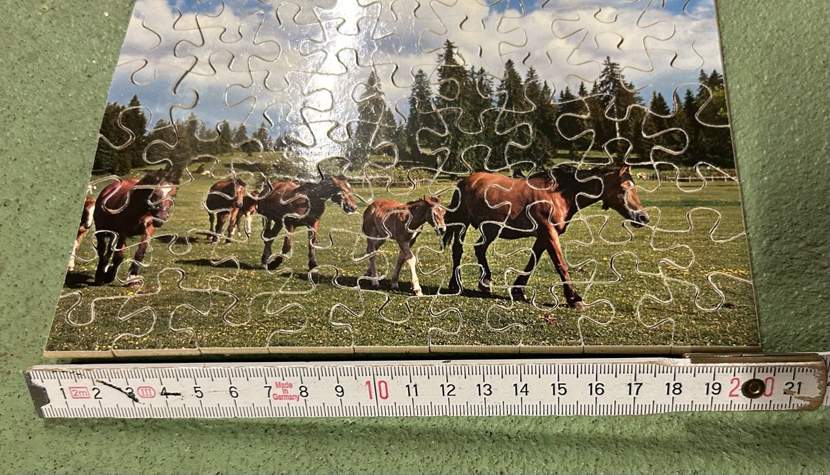 Puzzle: Holz-Puzzle – Usato da Lengnau AG venduto da Mefari 1