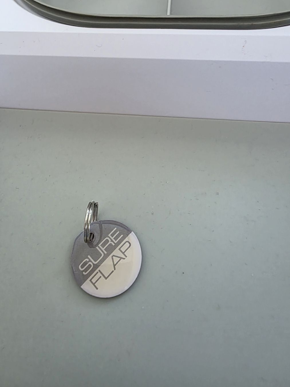 Sure Petcare Mangimi: Sure Feed Futterautomat – Usato da Pratteln venduto da bea_bxv5 5