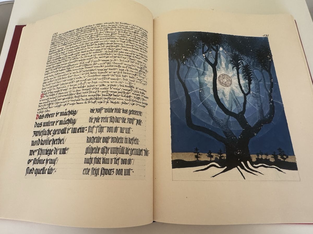 Libri: The Red Book - Carl Gustav Jung – Nuovo (secondo la descrizione) da Henniez venduto da ROCKZILLA 4