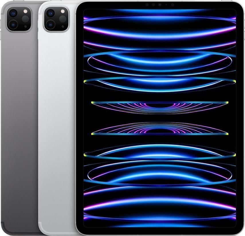 Tablet PC: Apple iPad Pro 11.0 WiFi 5G 2022 1TB ... – Usato da Steinhausen venduto da verkaufench
