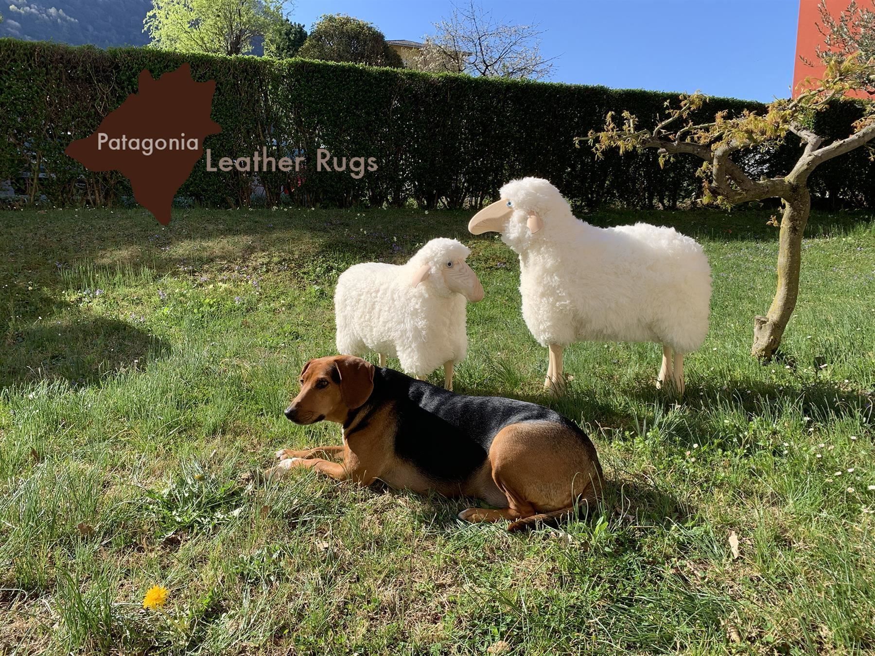 Sgabelli: Schaf, weisses Fell, Kiefer – Nuovo e nell'imballaggio originale da Arbedo venduto da patagonialeatherrugs 2