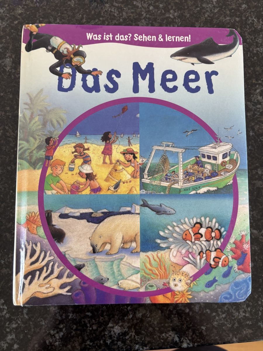 Libri: Kinderbuch Das Meer Sehen & lernen Kinderbuch – Usato da Grosswangen venduto da Sunnyday35